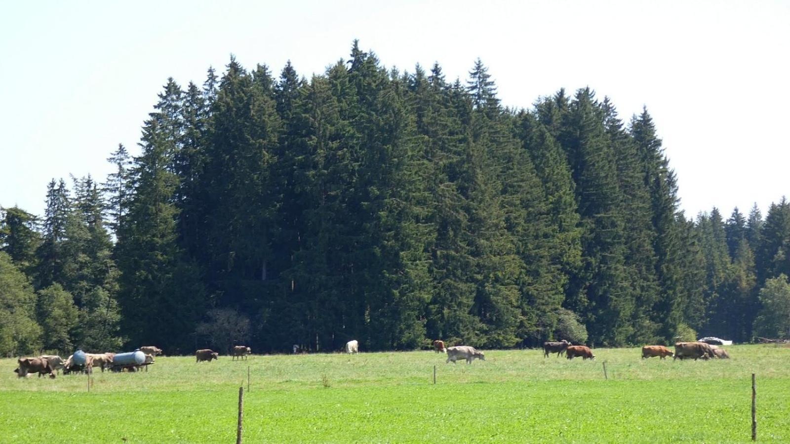 Ferienwohnung Nr 2, Lechbruck-Gruendl, Allgaeu Prem Dış mekan fotoğraf